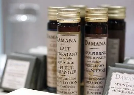 لا ديه تيرن باريس